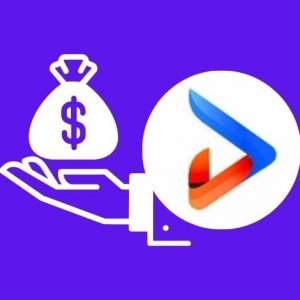 DIZU REALMENTE PAGA? – COMO FUNCIONA?